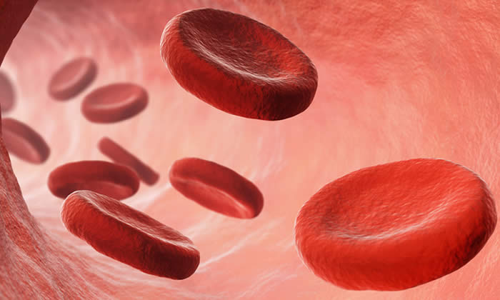 sangue circolazione cellulite