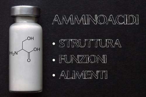 In questo articolo parliamo degli Amminoacidi, analizzandone le Funzioni, la Struttura e l'Impatto sulla Salute. Cosa sono gli Amminoacidi Essenziali? Ruolo Biologico, Sintesi Proteica, Caratteristiche Chimiche e Alimenti Apportatori