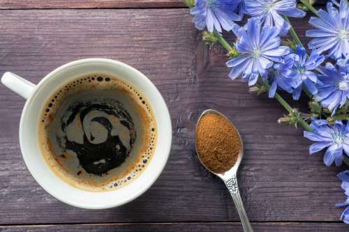 In questo articolo parliamo del Caffè di Cicoria, illustrandone il Metodo di Preparazione e il Profilo Nutrizionale. Con Studi e Considerazioni sui Potenziali Benefici per la Salute, per Migliorare Digestione, Salute Intestinale e Controllo della Glicemia