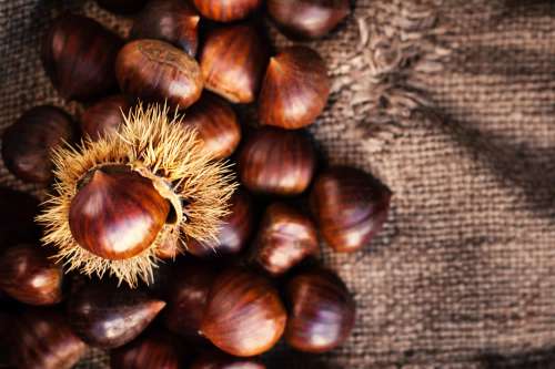 In questo articolo parliamo delle Castagne, delle loro Proprietà Nutrizionali e dei Benefici per la Salute. Con Studi e Considerazioni sulle Diverse Modalità di Cottura e sui Possibili Effetti Collaterali associati al Consumo di Castagne