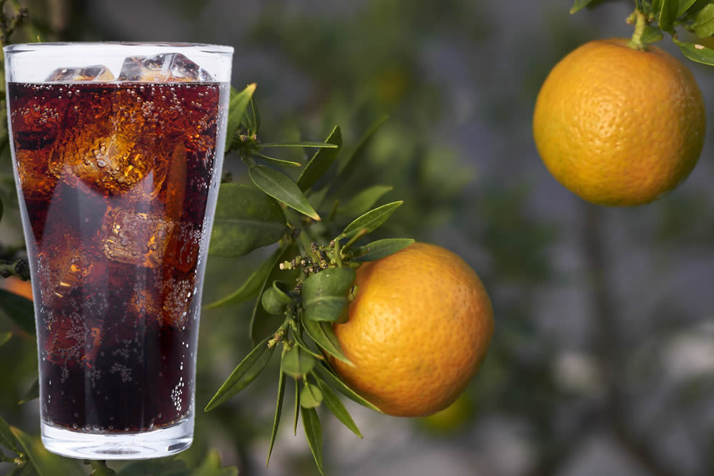 Chinotto