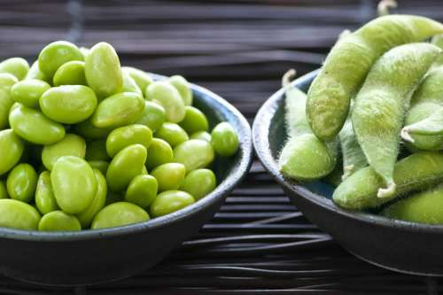 In questo articolo parliamo dell'Edamame, analizzandone Caratteristiche Nutrizionali e Impieghi in Cucina. Con Studi e Considerazioni sui Potenziali Benefici Antiossidanti, Antitumorali, Prebiotici, Cardio-Protettivi e di Sollievo sulle Vampate di Calore