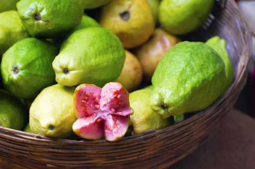 In questo articolo parliamo delle
Proprietà dei Frutti (Guava) e delle Foglie dell'albero Tropicale Guaiava. Con l'Ausilio di oltre 50 Studi scopriamo tutte le Proprietà Nutrizionali e Salutistiche di questi Interessanti Rimedi Naturali