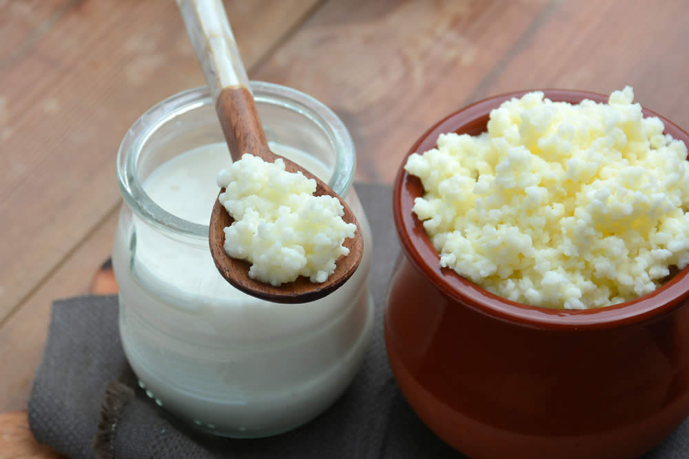 Kefir o Yogurt