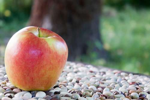 In questo articolo parliamo delle Mele Ambrosia, delle loro Caratteristiche Organolettiche, dei Valori Nutrizionali e dei Potenziali Benefici per la Salute. Con Studi scientifici, Consigli Utili e Potenziali Effetti Collaterali