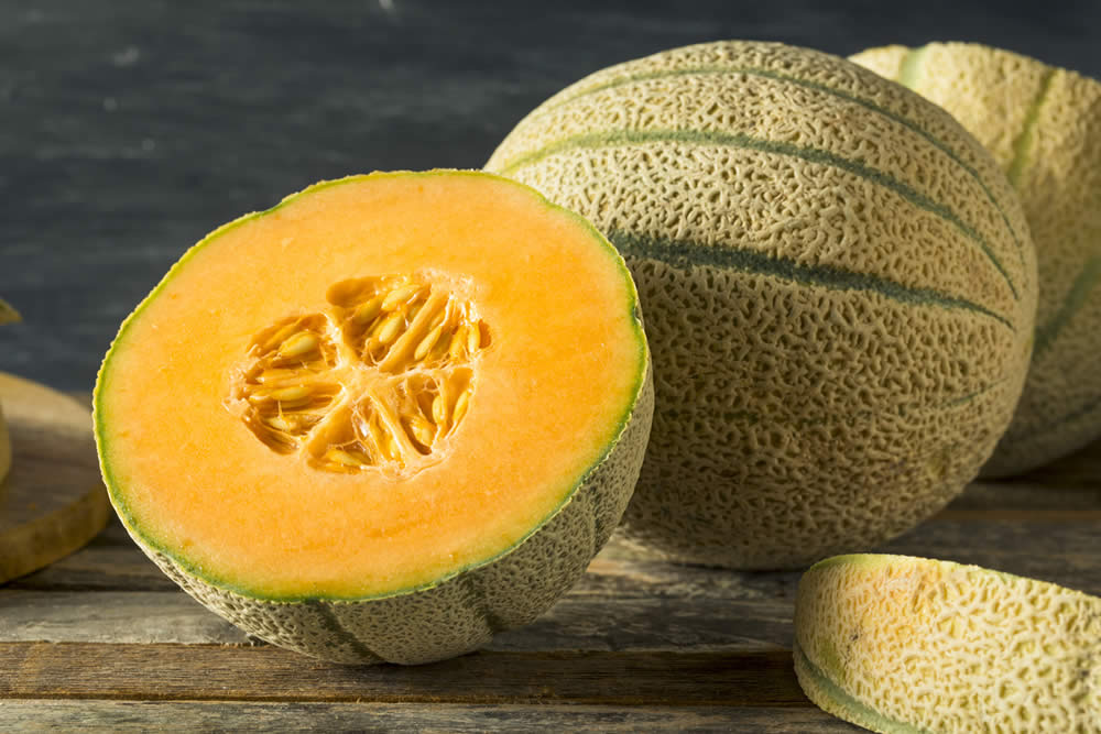 melone-cantalupo