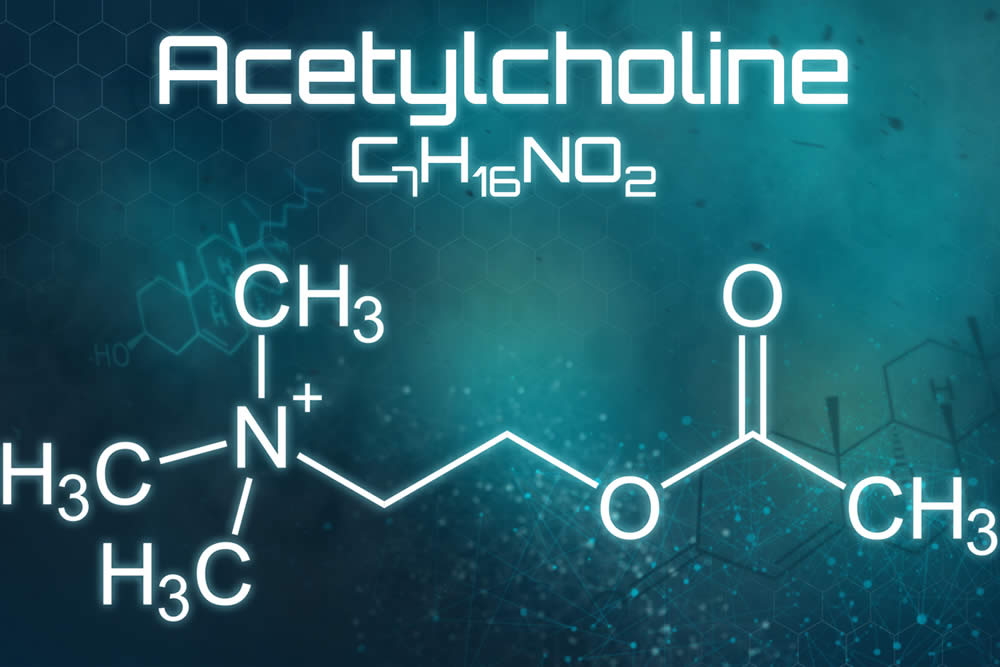 Acetilcolina