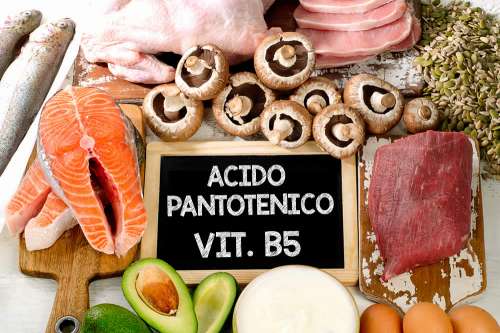 In questo articolo parliamo della Vitamina B5 e delle sue Funzioni nell'Organismo. Lista dei Cibi Ricchi di Acido Pantotenico, Dosi Raccomandate, Cause e Sintomi di Carenze ed Eccessi. Efficacia della Pantetina per Abbassare il Colesterolo e Usi Cosmetici