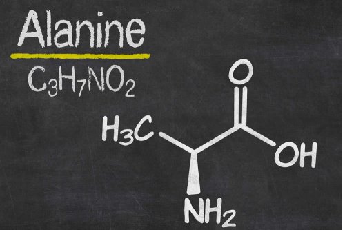 In questo articolo parliamo dell'Alanina, dei suoi alimenti apportatori, delle sue Proprietà e del suo Ruolo Biologico nel famoso Ciclo Glucosio Alanina.