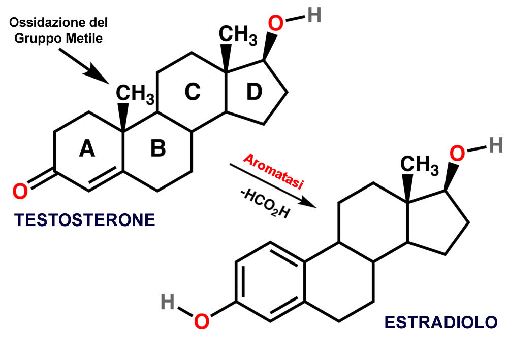 Aromatasi