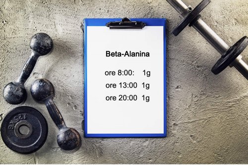 In questo articolo parliamo della Beta Alanina e delle sue Funzioni, analizzando gli Alimenti apportatori e la sua Utilità come Precursore della Carnosina. Con approfondimenti su Evidenze Scientifiche, Dosi, Modo d'Uso e possibili Controindicazioni