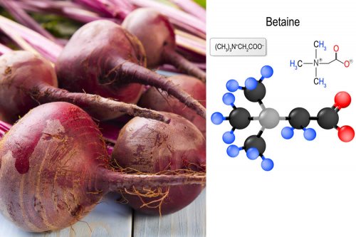 In questo articolo analizziamo le proprietà ergogeniche e salutistiche della Betaina, valutandone il ruolo biologico, gli studi di efficacia, i potenziali benefici per la salute e lo sportivo, i dosaggi e il modo d'uso corretto