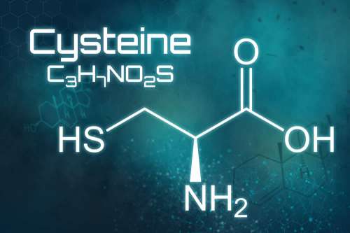 In questo articolo parliamo della Cisteina, delle sue Funzioni Biologiche, delle sue Proprietà e dei potenziali Benefici Antiossidanti, Mucolitici, Rinforzanti dei Capelli e Detossificanti. Con Evidenze Scientifiche, Alimenti Apportatori e Fabbisogno