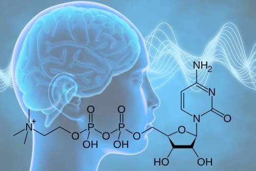 In questo articolo parliamo della Citicolina, delle sue Proprietà e dei Potenziali Benefici per la Salute del Cervello e per combattere Disturbi della Memoria e Glaucoma. Con Studi scientifici, Proprietà Salutistiche, Usi ed Effetti Collaterali