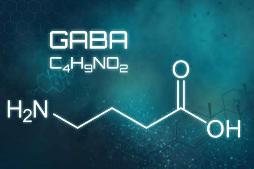 In questo articolo parliamo dell'acido gamma-amminobutirrico (GABA) analizzandone le funzioni biologiche, il meccanismo d'azione e l'uso come integratore e ingrediente cosmetico. Potenziali Benefici, Studi, Modo d'Uso e Possibili Effetti Collaterali