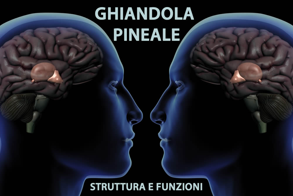 Ghiandola Pineale