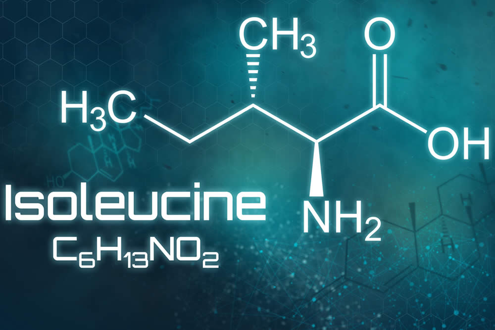 Isoleucina