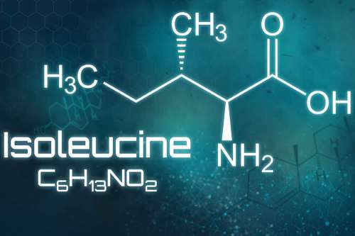 In questo articolo parliamo dell'Isoleucina, delle sue Funzioni e delle sue Proprietà di Stimolo sull'Utilizzo cellulare di Glucosio, analizzando Alimenti Apportatori, Vantaggi di un'Integrazione, Dosi e Modo d'Uso