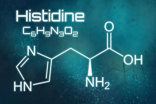 In questo articolo parliamo dell'Istidina, della sua Essenzialità per l'Organismo, delle sue Funzioni e delle sue Proprietà, analizzando Alimenti Apportatori, Vantaggi di un'Integrazione di Istidina, Dosi e Modo d'Uso