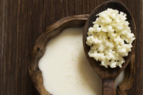 In questo articolo analizziamo le interessanti proprietà nutrizionali del Kefir. Granuli di Kefir e Ricetta per farlo in Casa. Caratteristiche, Proprietà e Benefici. E' migliore dello Yogurt? Studi, Dosi e Consigli per la tua Salute