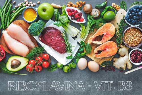 In questo articolo parliamo della Vitamina B2 e delle sue Funzioni nell'Organismo. Lista dei Cibi Ricchi di Riboflavina, Dosi Raccomandate, Cause e Conseguenze di Carenze ed Eccessi. Vitamina B2 in Farmaci e Integratori: A Cosa Serve? Fa Bene?