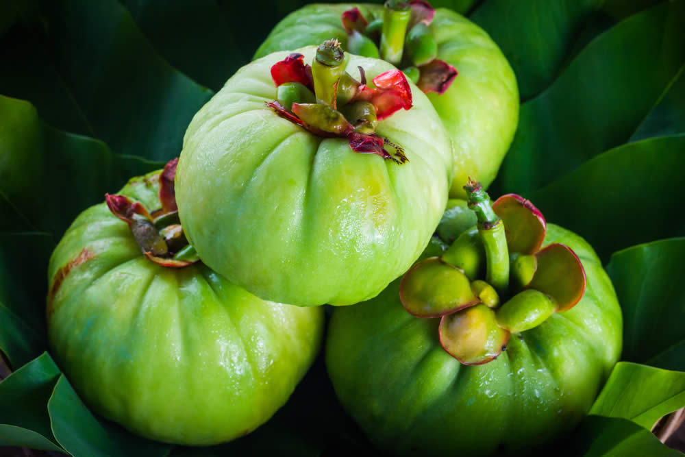 Garcinia Cambogia: Proprietà, Principi Attivi, Uso, Benefici. Fa Male?