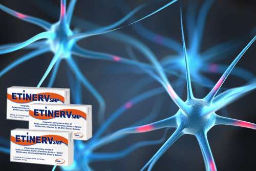 In questa recensione parliamo di Etinerv, integratore a base di attivi utili per proteggere le cellule nervose dai danni delle malattie neurodegenerative, analizzandone ingredienti, efficacia, modo d'uso, controindicazioni ed effetti collaterali