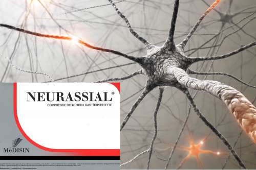 In questa recensione parliamo di Neurassial, a base di attivi utili per proteggere le cellule nervose dai danni delle malattie neurodegenerative, analizzandone ingredienti, efficacia, modo d'uso, controindicazioni ed effetti collaterali