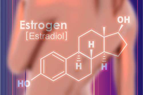 In questo articolo parliamo dell'Estradiolo e delle sue Funzioni, analizzandone il Ruolo Biologico nelle diverse età, nella donna e nell'uomo. Analisi del Sangue e Valori Normali: Cause e Sintomi di Valori Troppo Alti o Troppo Bassi.