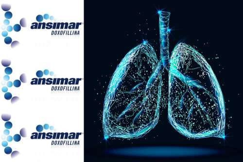 Recensione del Farmaco Ansimar: Quando Fa bene? Quando Fa Male? Per Cosa si Usa? Dosi e Uso Corretto della Doxofillina nel trattamento dell'asma e restringimenti bronchiali. Foglio Illustrativo Spiegato, Controindicazioni ed Effetti Collaterali