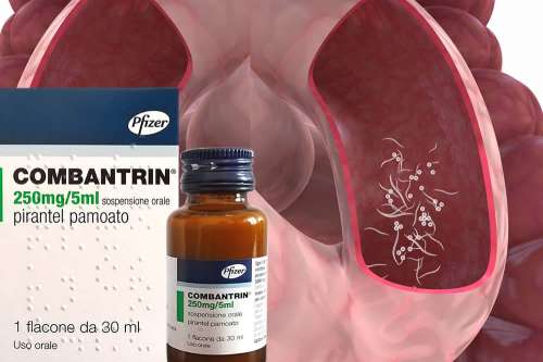 Recensione del Farmaco Combantrin Sciroppo: Quando Fa bene? Quando Fa Male? Per Cosa si Usa? Dosi e Uso Corretto del pirantel pamoato contro Ossiuri e Vermi Intestinali. Foglio Illustrativo, Controindicazioni ed Effetti Collaterali