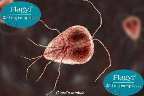 Recensione del Farmaco Flagyl 250 mg Compresse: A Cosa Serve? Quando Fa bene? Quando Fa Male? Per Cosa si Usa? Dosi e Uso Corretto del Metronidazolo contro Infezioni Genitali e Intestinali. Foglio Illustrativo Spiegato, Controindicazioni, Effetti Collate