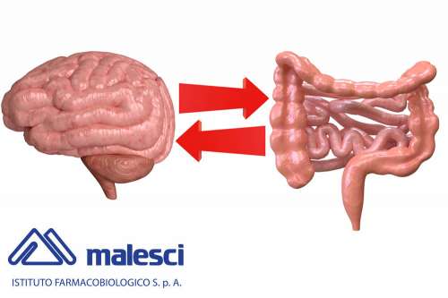 Recensione del Farmaco Obispax 40 mg + 2 mg Compresse: A Cosa Serve? Quando Fa bene? Quando Fa Male? Per Cosa si Usa? Dosi e Uso Corretto contro Spasmi Gastro-Intestinali di origine Ansiosa. Foglio Illustrativo ed Effetti Collaterali