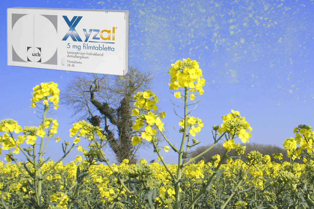 Xyzal Compresse