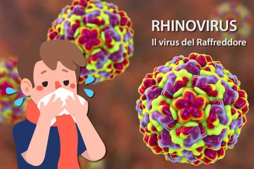 In questo articolo parliamo del Raffreddore, delle sue Cause e dei suoi Sintomi. E' un Disturbo Grave? Quando Consultare il medico? Esami per la Diagnosi, Informazioni sulle Cure, la Dieta e i Rimedi Efficaci per la Cura e la Prevenzione del Raffreddore