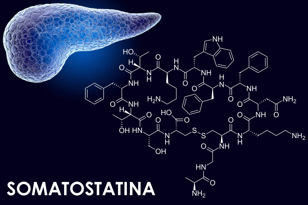 Somatostatina