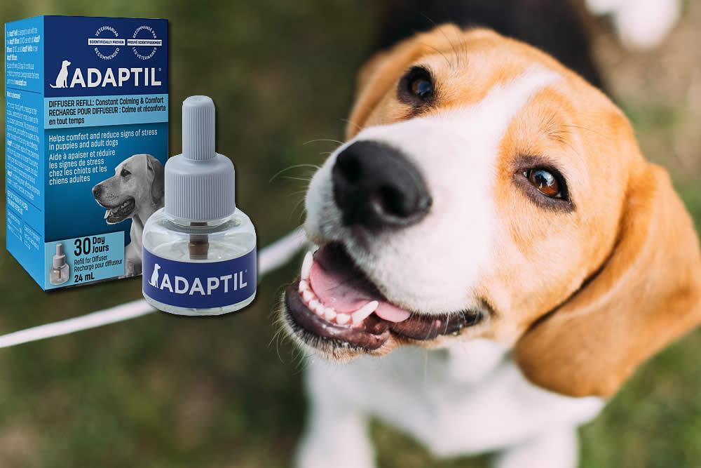 Adaptil