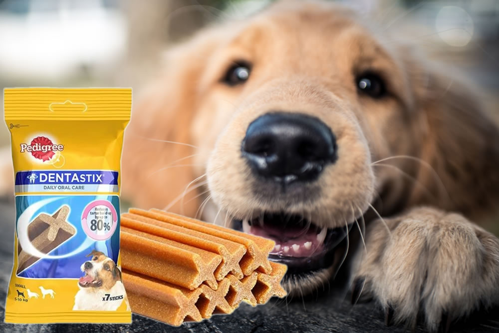 Dentastix