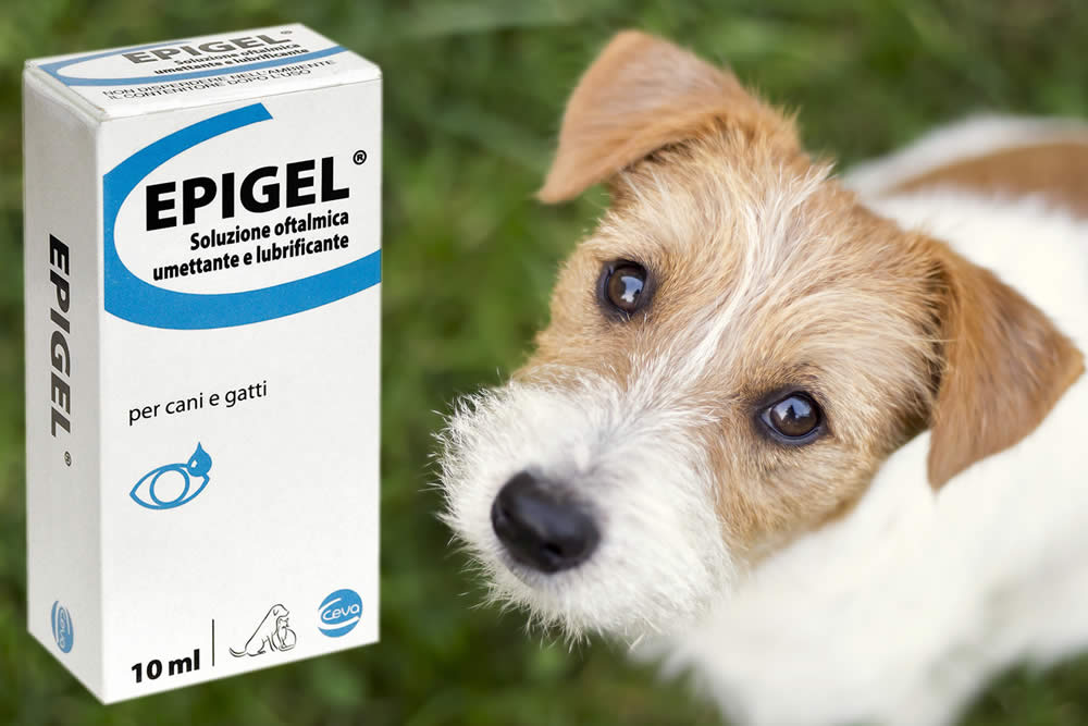 Epigel