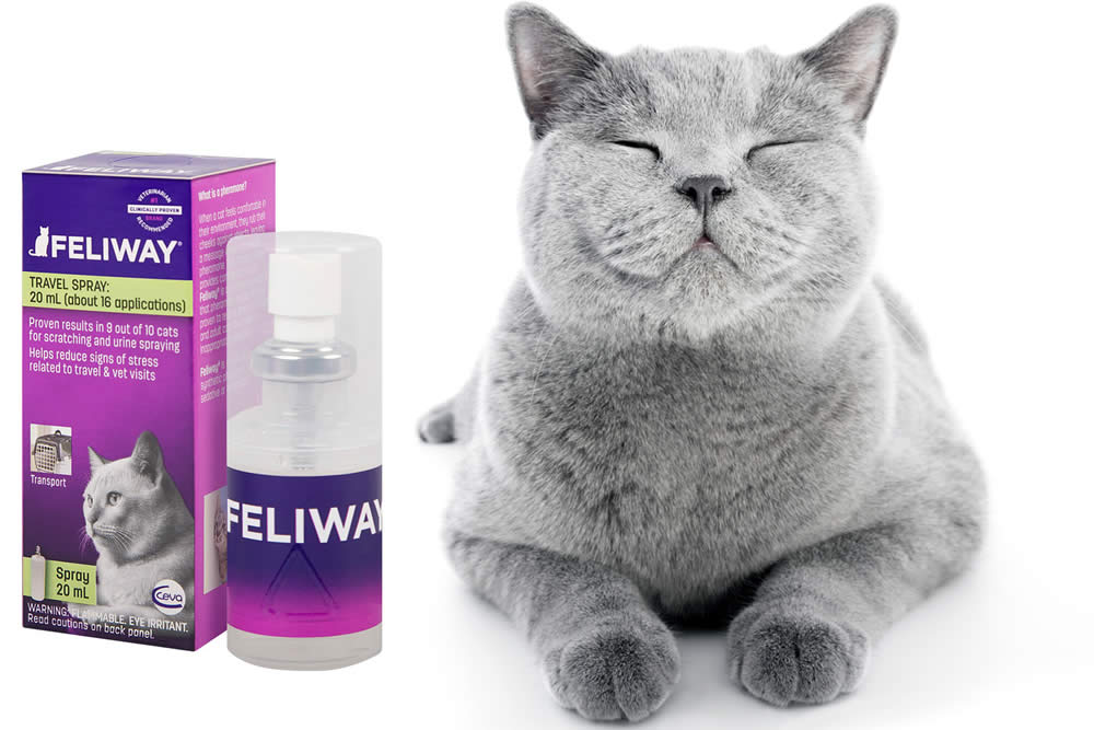 Feliway