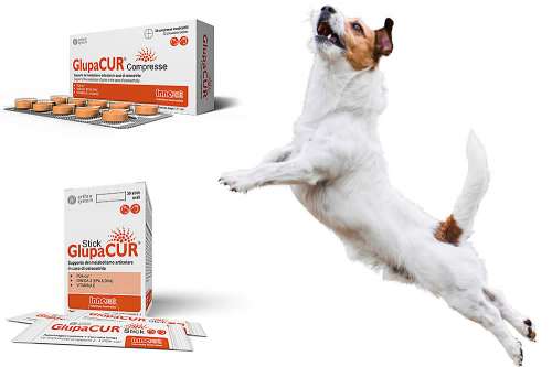 In questa recensione parliamo dei prodotti Glupacur Stick e Glupacur Compresse (alimento dietetico complementare per cani, pensato per la protezione articolare, in presenza di osteoartrosi), analizzandone ingredienti, efficacia, prezzo, modo d'uso ed effe