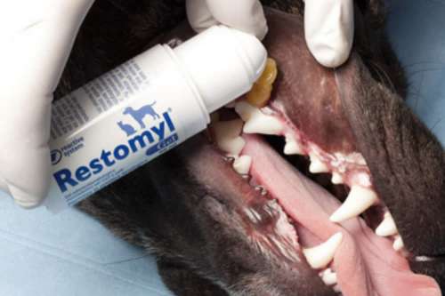 In questa recensione parliamo di Restomyl Gel (prodotto veterinario per la salute della mucosa orale utile contro infiammazioni locali e dopo interventi odontostomatologici), analizzandone principi attivi, uso, controindicazioni, effetti collaterali