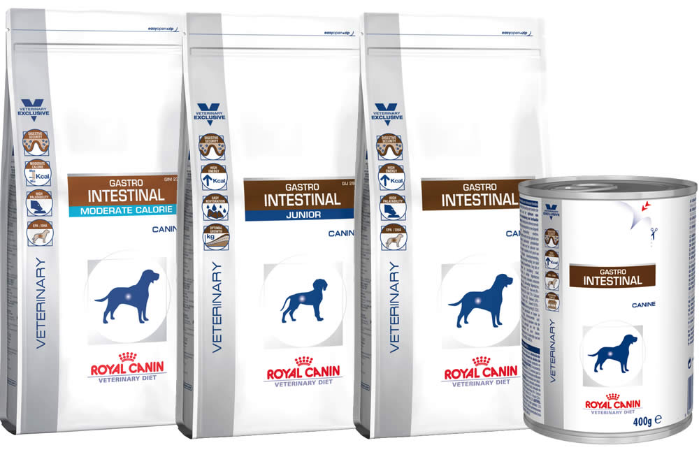 Royal Canin Gastro Intestinal