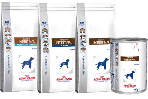 In questa recensione parliamo di Royal Canin Gastro Intestinal (alimenti dietetici per cani e gatti con disturbi gastrointestinali), analizzandone utilità, principi attivi, uso, controindicazioni, effetti collaterali